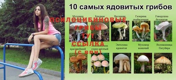 амф Алексеевка